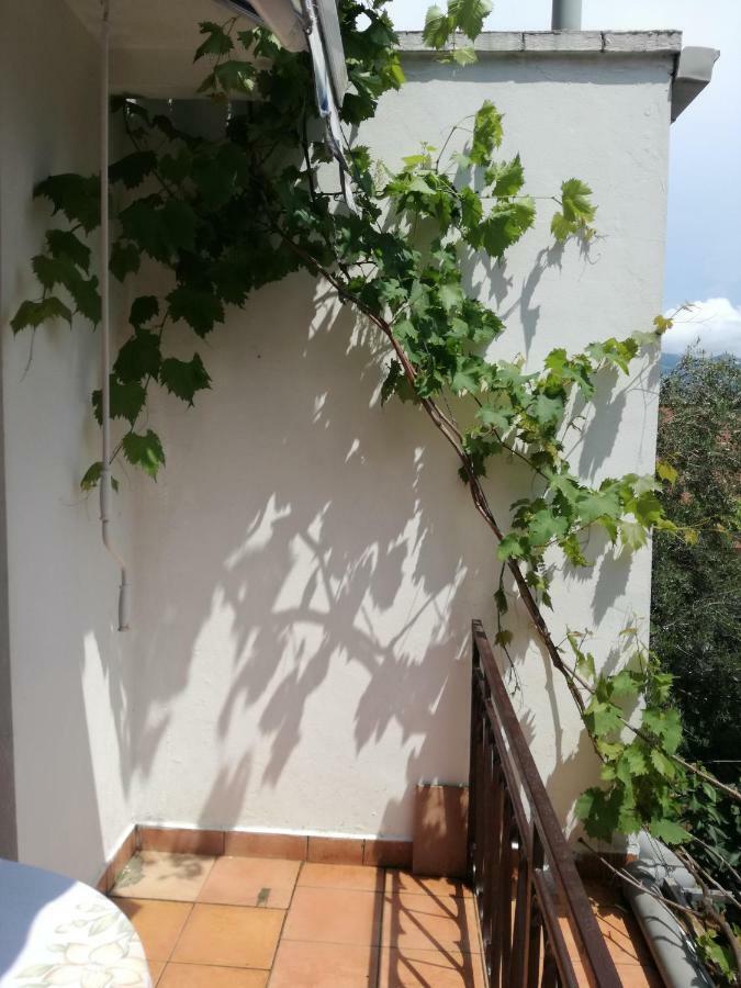 Guest House Vila Bak Budva Exterior foto